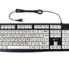 Large Black Print On White Keys