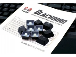 UK Max Blackbird Tenkeyless Backlit Mechanical Keyboard -Mouse Keyboard Store blackbird tenkeyless backlit mechanical keyboard blue large 3
