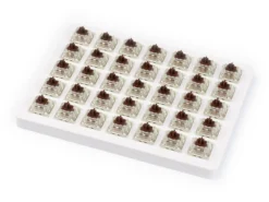 CHERRY MX RGB Brown Switch Set And Holder 35